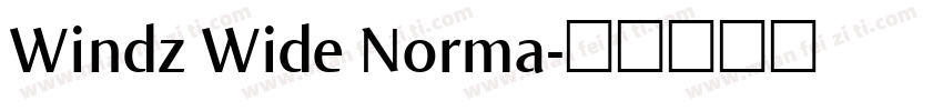 Windz Wide Norma字体转换